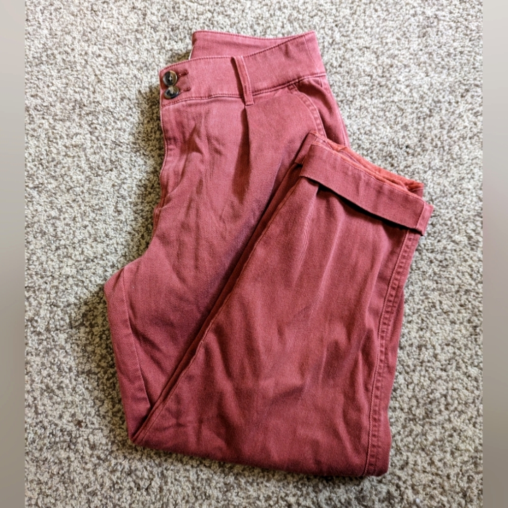 Terracotta pants